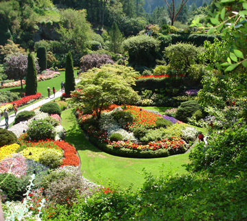 Butchart Gardens 1